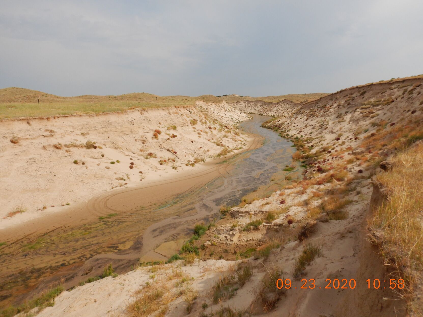 snakeriver